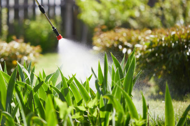 Tamper-Resistant Bait Stations for Rodents in Clifton Gardens